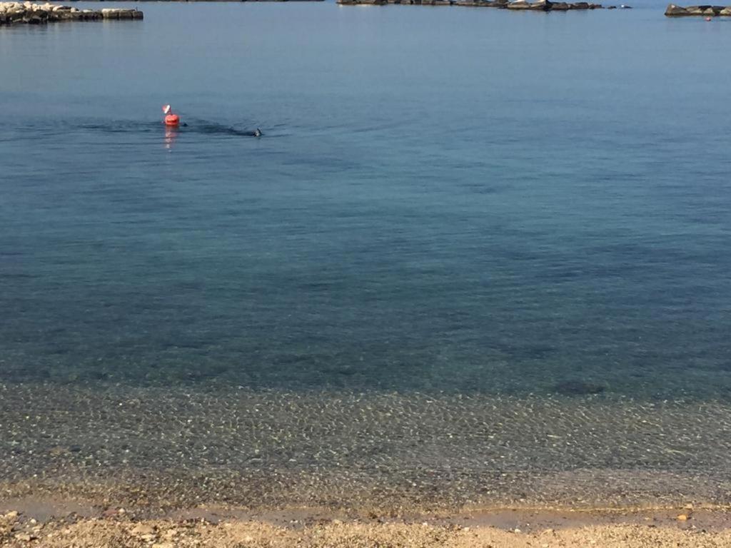 شقة La Mia Terrazza Sul Mare - Mared'Amare باري المظهر الخارجي الصورة