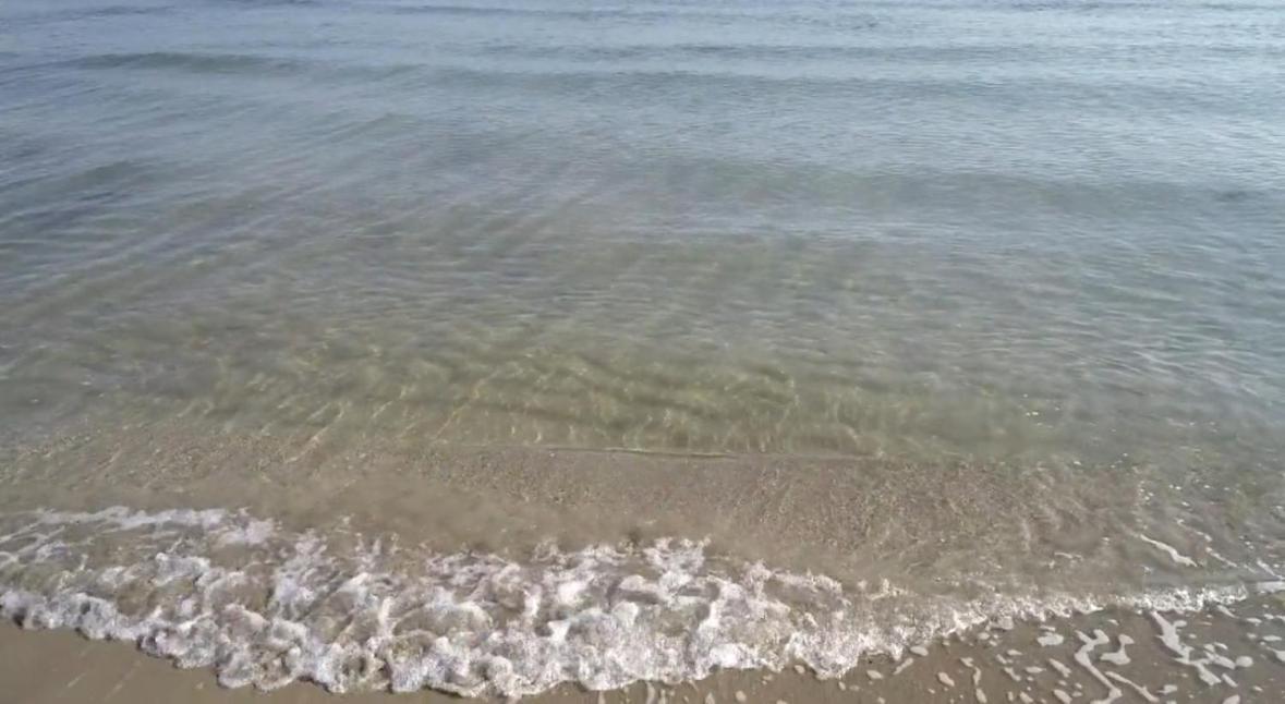 شقة La Mia Terrazza Sul Mare - Mared'Amare باري المظهر الخارجي الصورة